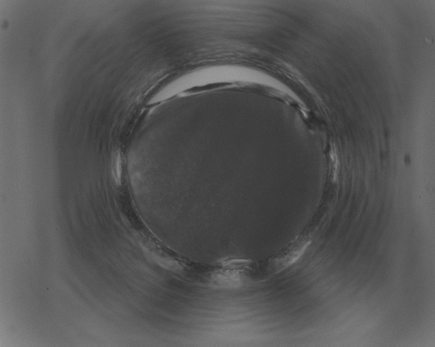 X0000078290076200612011819