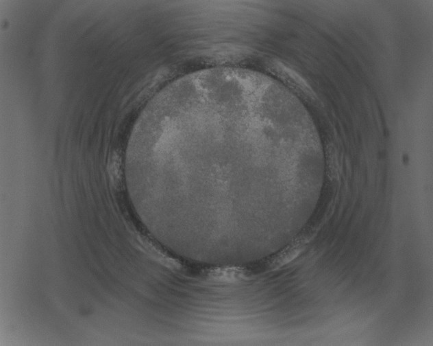 X0000078290077200612011819