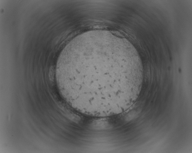 X0000078290078200612011820