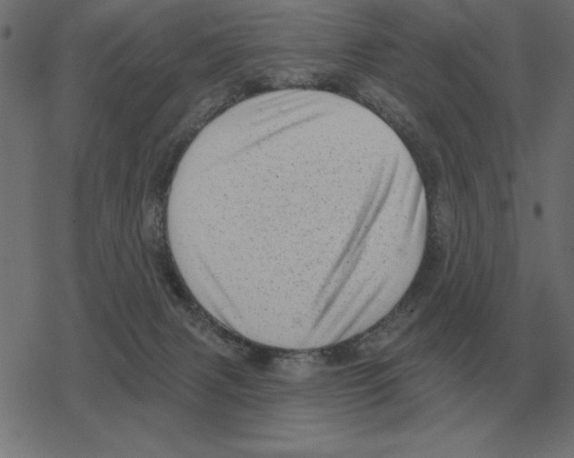 X0000078290079200612011820