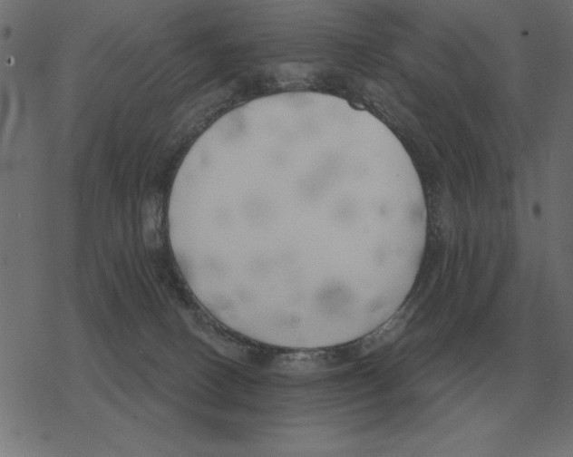 X0000078290082200612011820