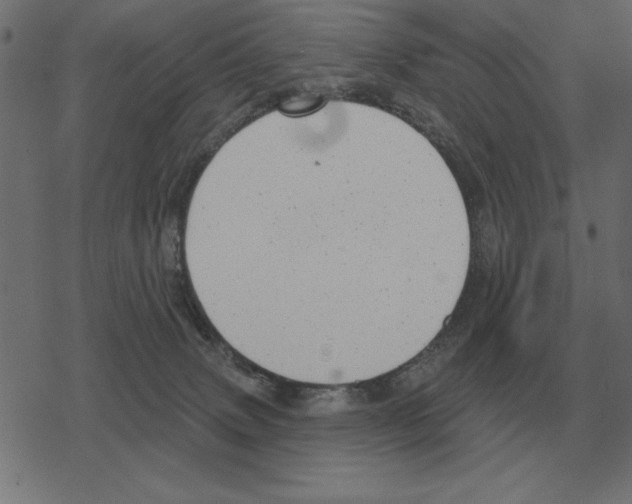 X0000078290083200612011820