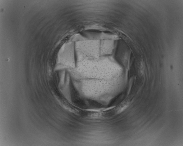 X0000078290084200612011820