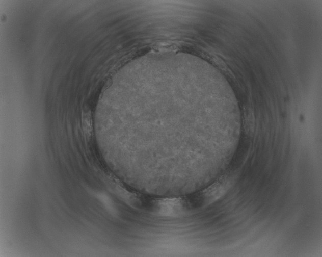 X0000078290085200612011820