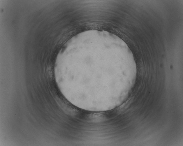 X0000078290086200612011820