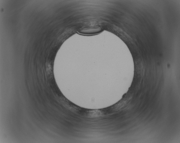 X0000078290087200612011820