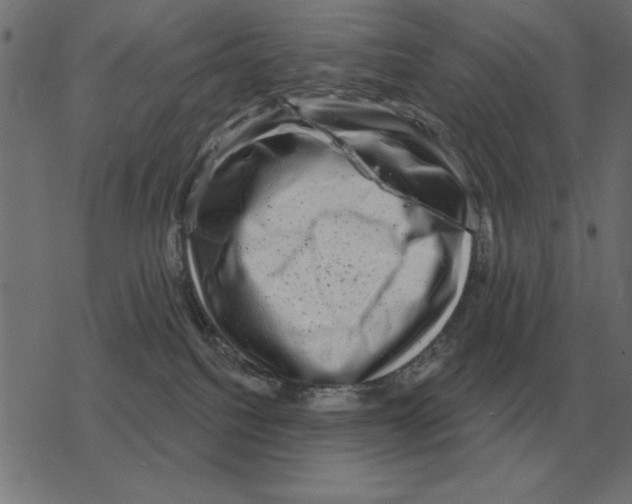 X0000078290088200612011820