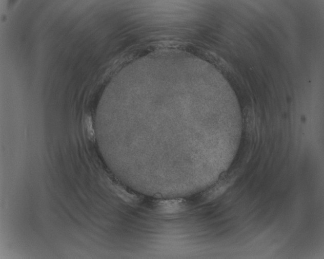 X0000078290089200612011820