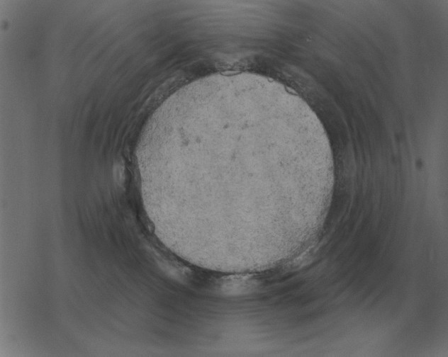 X0000078290090200612011820