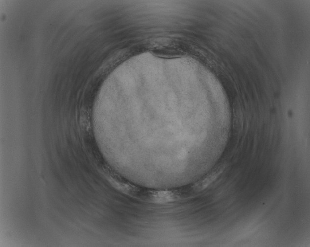 X0000078290091200612011820