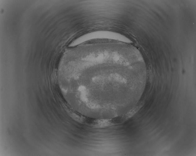 X0000078290093200612011820