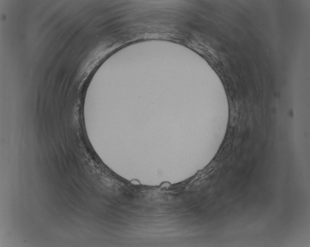 X0000078290098200612011819