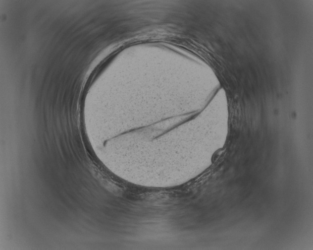 X0000078290100200612011819