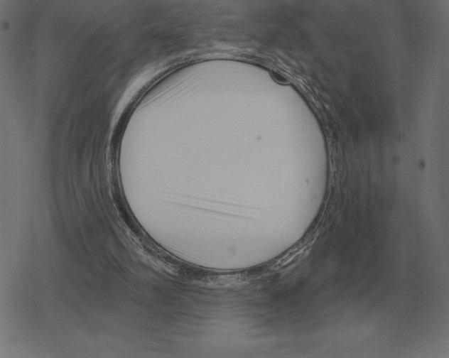 X0000078290102200612011819