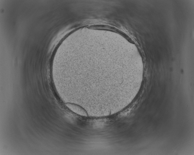 X0000078290103200612011819