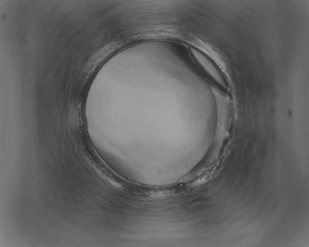 X0000078290105200612011819