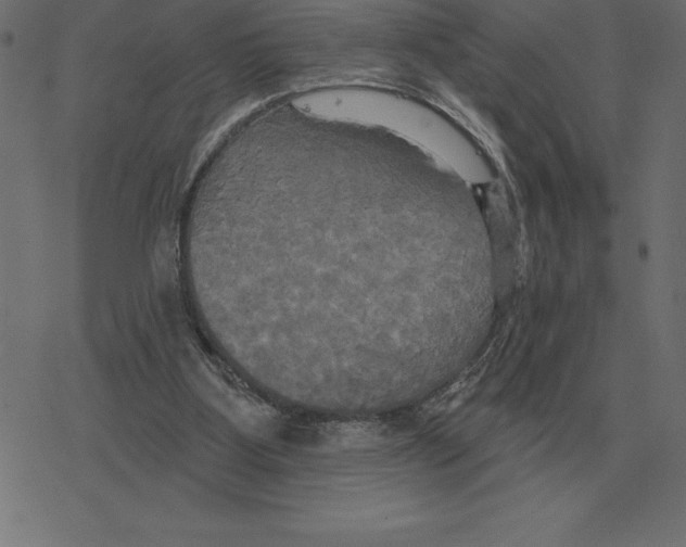 X0000078290107200612011819