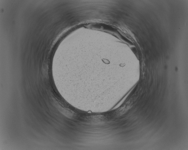 X0000078290108200612011819