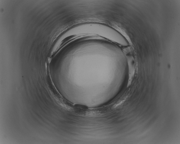 X0000078290109200612011819