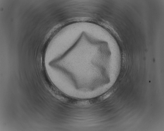 X0000078290110200612011819