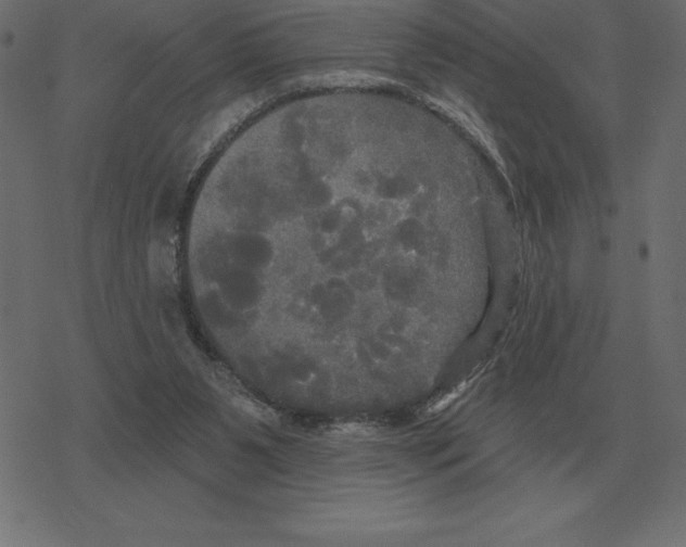 X0000078290111200612011819