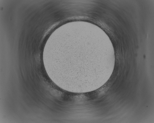 X0000078290112200612011819