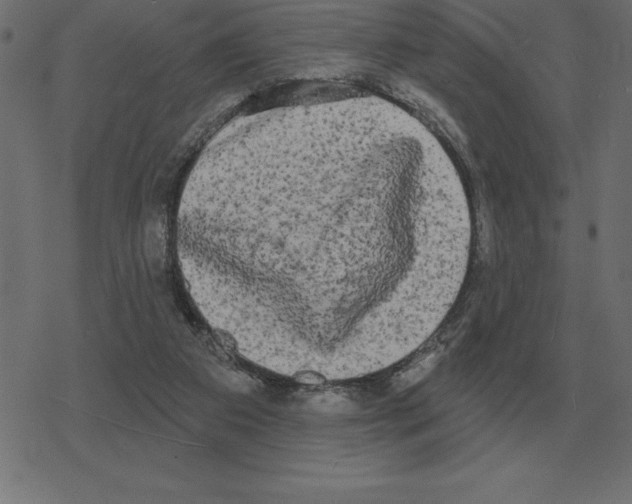 X0000078290113200612011819