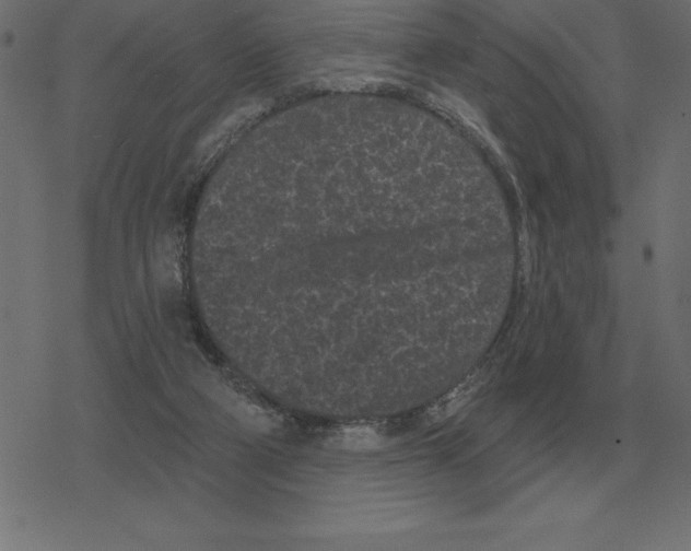 X0000078290114200612011819