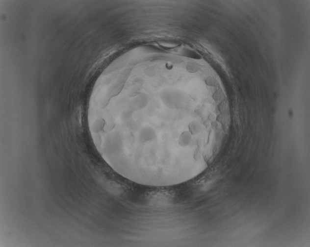 X0000078290115200612011819