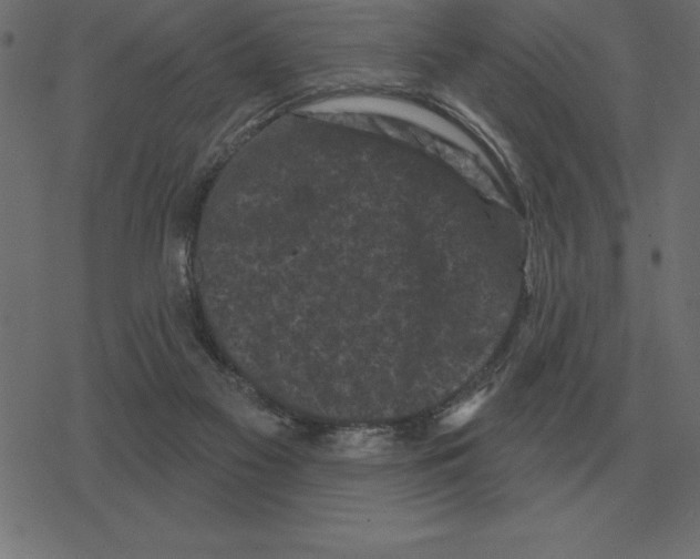 X0000078290117200612011819