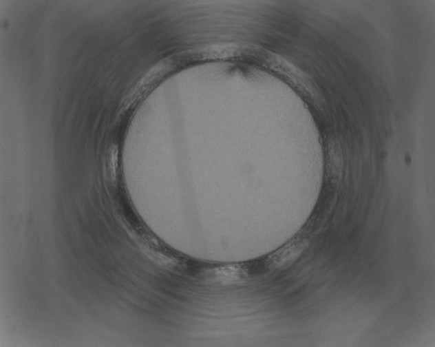 X0000078290118200612011819