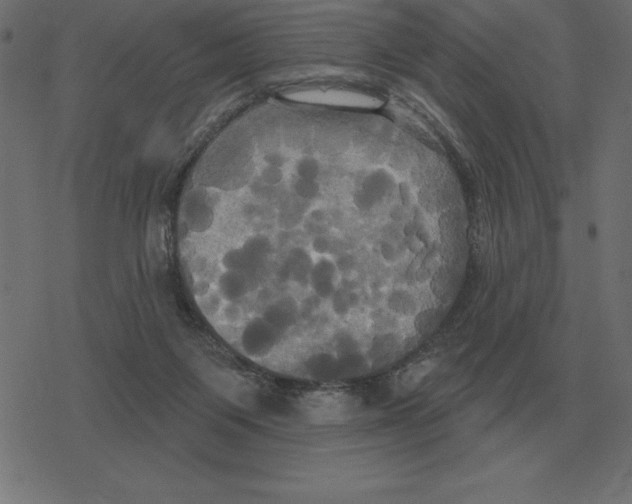 X0000078290119200612011819