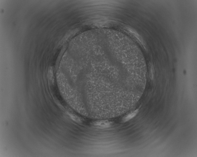 X0000078290121200612011819