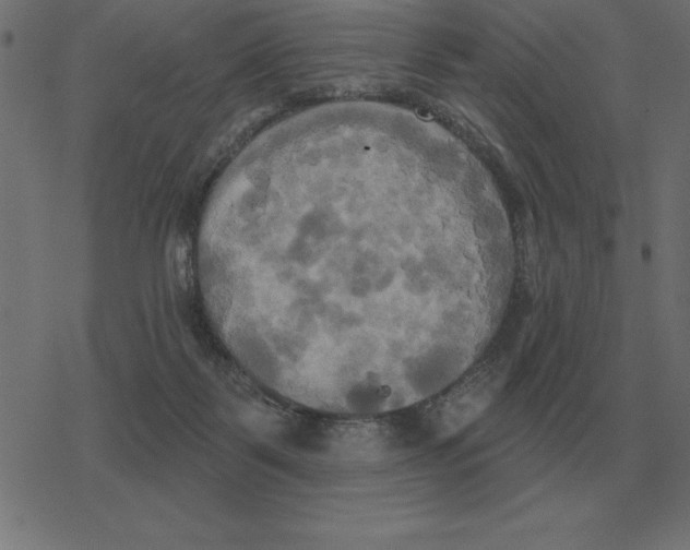 X0000078290123200612011819