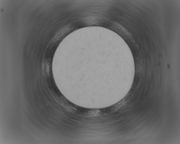 X0000078290124200612011819