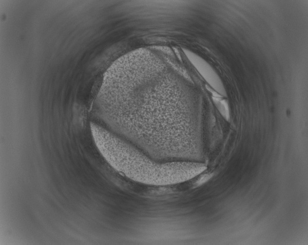 X0000078290125200612011819