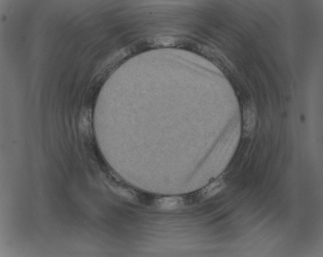 X0000078290126200612011819