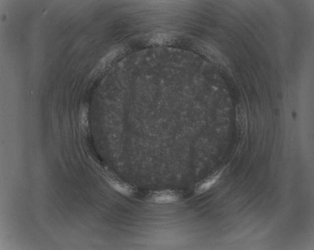 X0000078290127200612011819