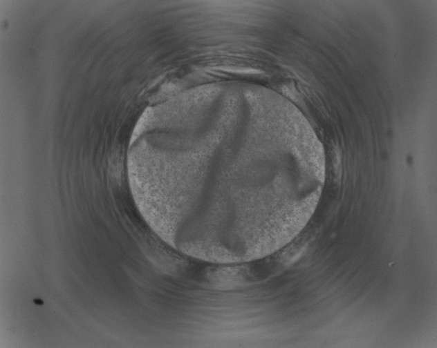 X0000078290129200612011819