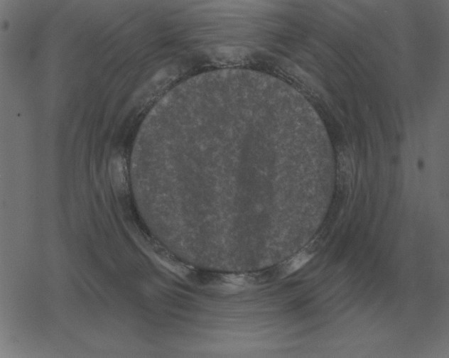 X0000078290130200612011818