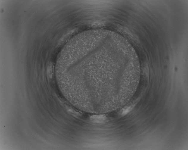 X0000078290133200612011818