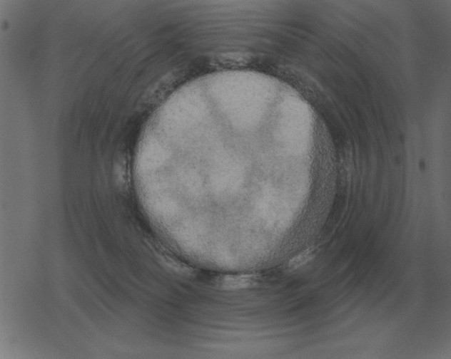 X0000078290134200612011818