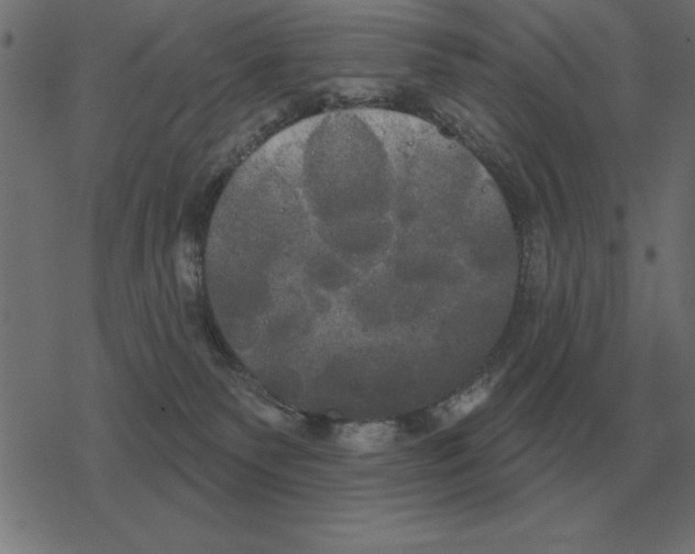 X0000078290135200612011818