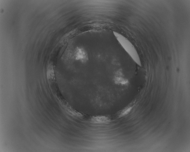 X0000078290137200612011818