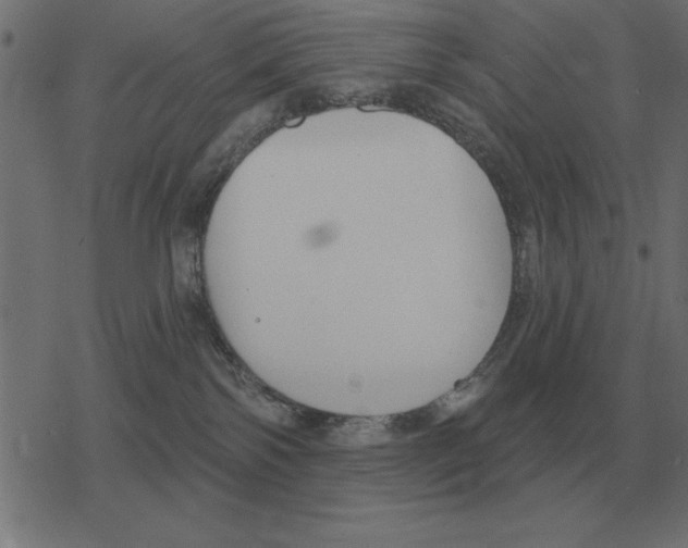 X0000078290138200612011818