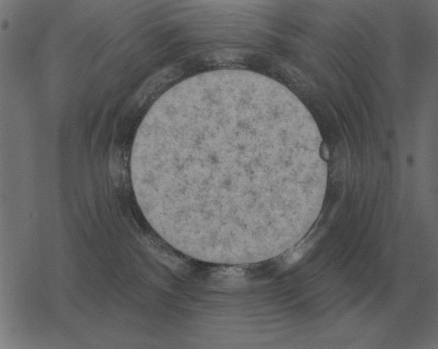 X0000078290140200612011818