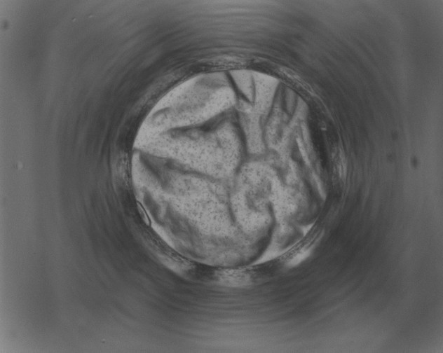 X0000078290141200612011818