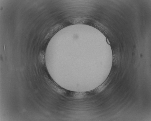 X0000078290142200612011818