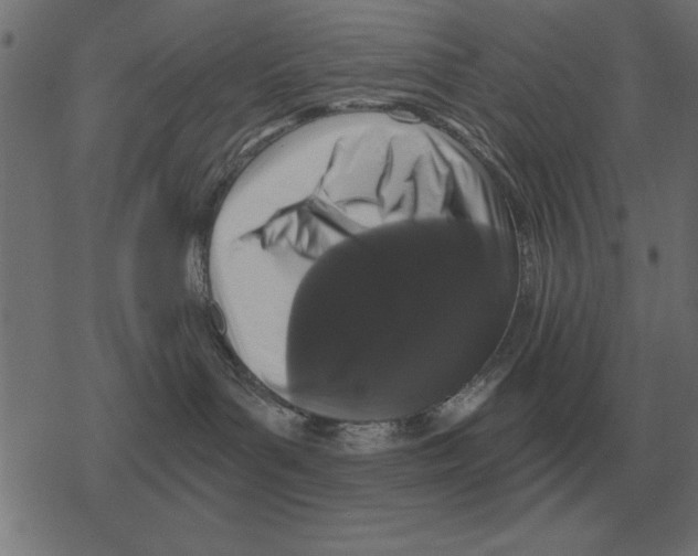 X0000078290143200612011818