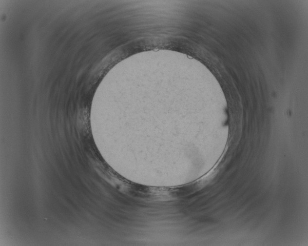 X0000078290144200612011818